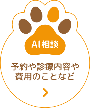 チャットボットを起動
