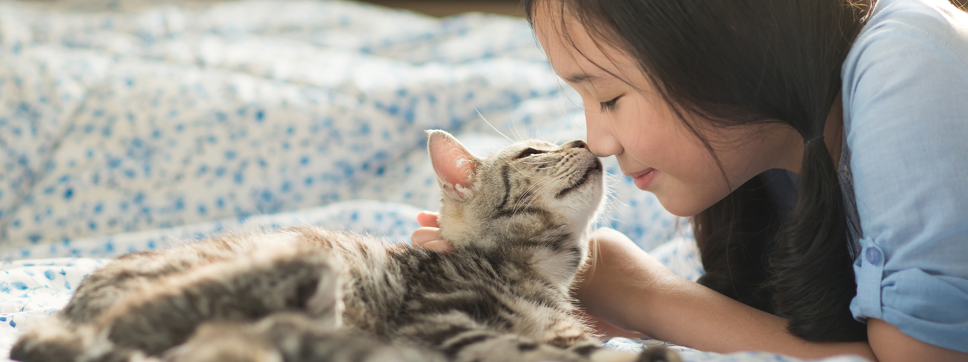 とことこ動物病院