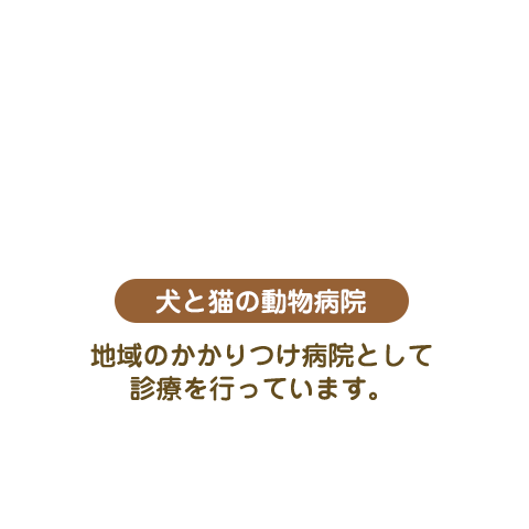 犬と猫の動物病院